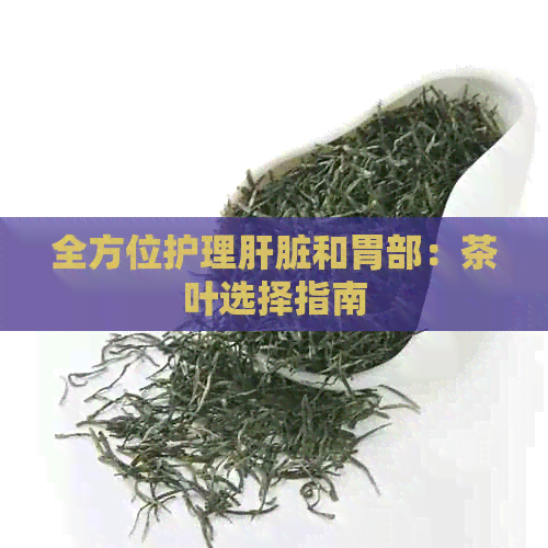 全方位护理肝脏和胃部：茶叶选择指南