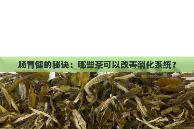 肠胃健的秘诀：哪些茶可以改善消化系统？