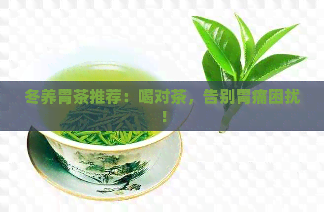 冬养胃茶推荐：喝对茶，告别胃痛困扰！