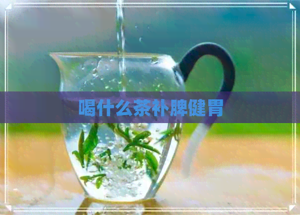 喝什么茶补脾健胃