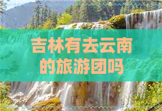 吉林有去云南的旅游团吗