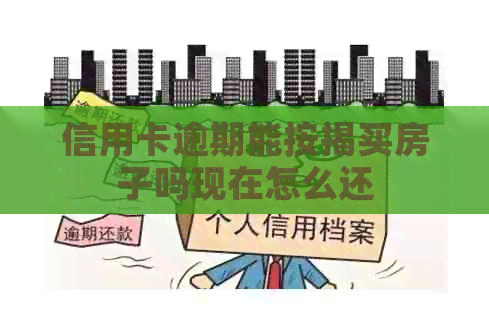 信用卡逾期能按揭买房子吗现在怎么还