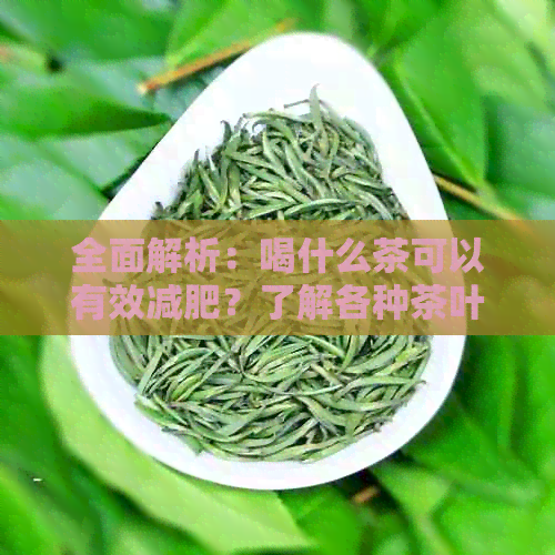 全面解析：喝什么茶可以有效减肥？了解各种茶叶的功效与适用人群