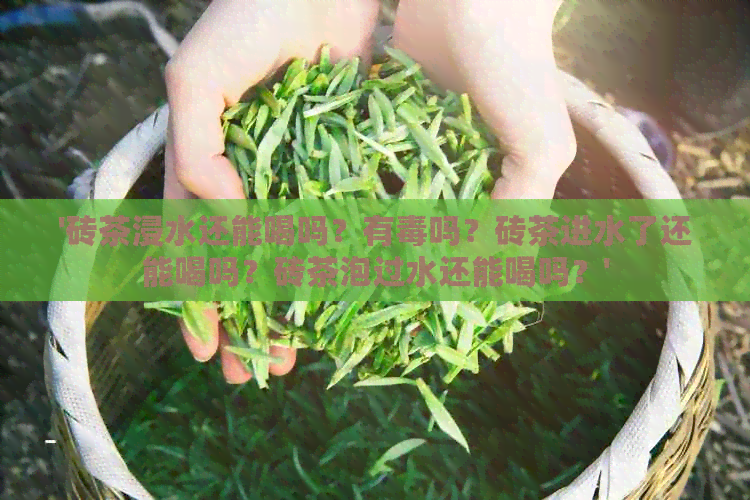 '砖茶浸水还能喝吗？有吗？砖茶进水了还能喝吗？砖茶泡过水还能喝吗？'