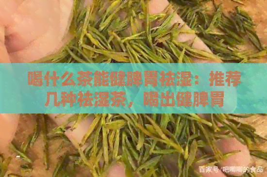 喝什么茶能健脾胃祛湿：推荐几种祛湿茶，喝出健脾胃