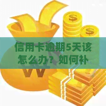 信用卡逾期5天该怎么办？如何补救、影响和预防措全解析