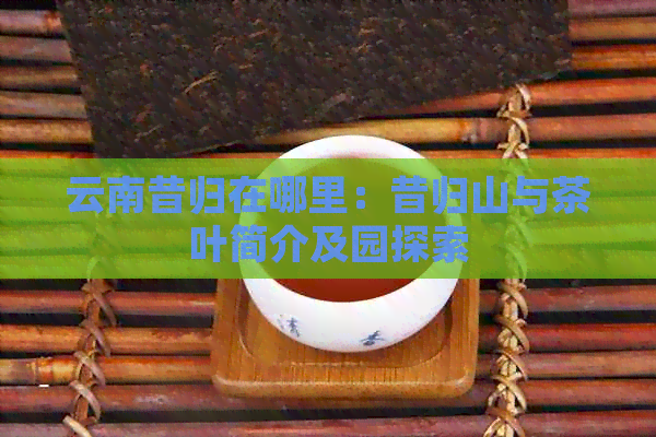 云南昔归在哪里：昔归山与茶叶简介及园探索