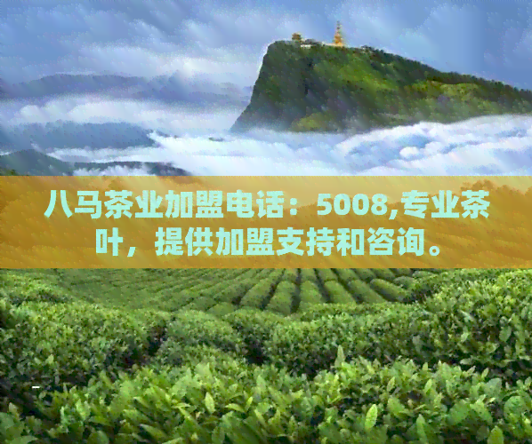 八马茶业加盟电话：5008,专业茶叶，提供加盟支持和咨询。