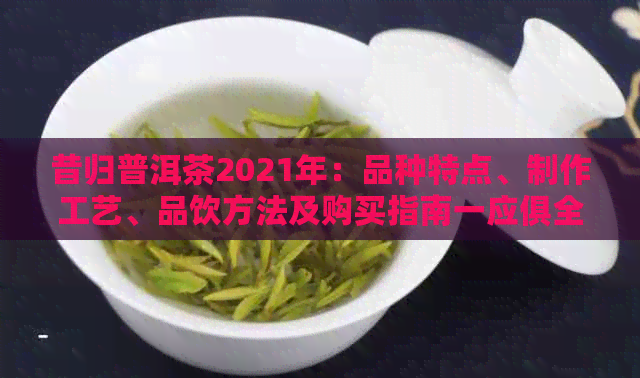 昔归普洱茶2021年：品种特点、制作工艺、品饮方法及购买指南一应俱全