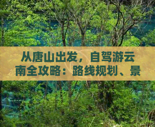 从唐山出发，自驾游云南全攻略：路线规划、景点推荐、住宿和美食一应俱全