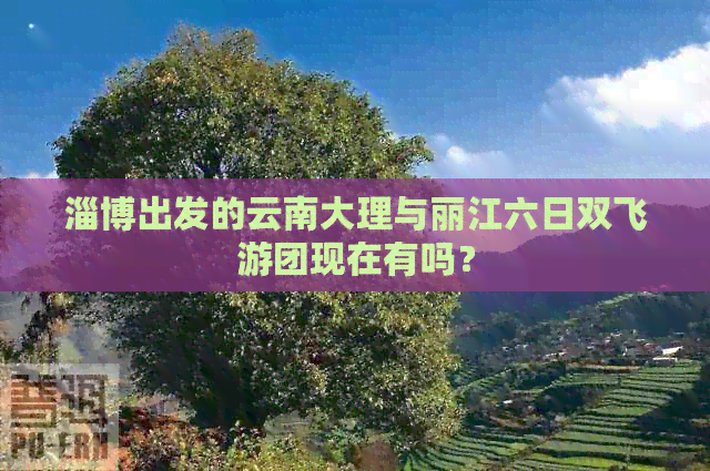 淄博出发的云南大理与丽江六日双飞游团现在有吗？