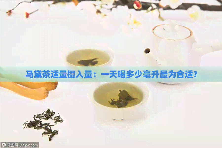 马黛茶适量摄入量：一天喝多少毫升最为合适？