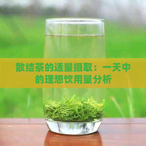 散结茶的适量摄取：一天中的理想饮用量分析