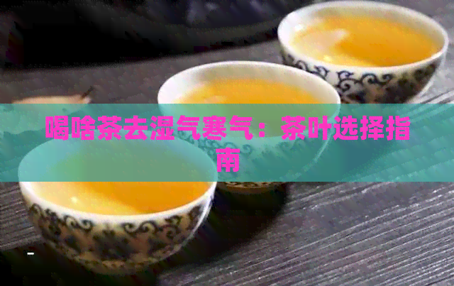 喝啥茶去湿气寒气：茶叶选择指南