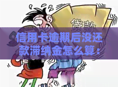 信用卡逾期后没还款滞纳金怎么算：逾期还款处理方式及利息计算方法解析