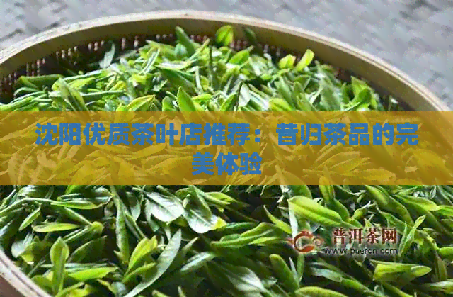 沈阳优质茶叶店推荐：昔归茶品的完美体验