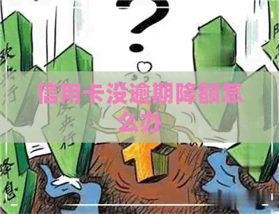 信用卡没逾期降额怎么办