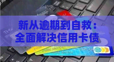 新从逾期到自救：全面解决信用卡债务问题的方法与建议