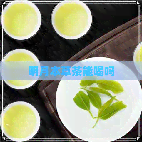 明月本草茶能喝吗