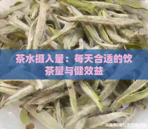 茶水摄入量：每天合适的饮茶量与健效益