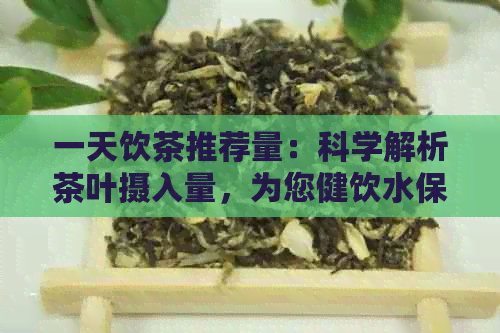 一天饮茶推荐量：科学解析茶叶摄入量，为您健饮水保驾护航