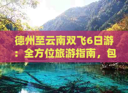 德州至云南双飞6日游：全方位旅游指南，包含交通、住宿、景点及行程安排