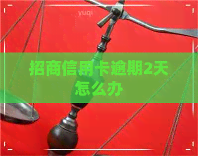 招商信用卡逾期2天怎么办