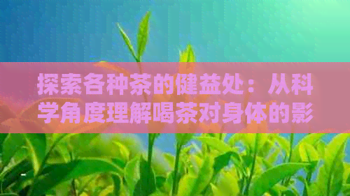 探索各种茶的健益处：从科学角度理解喝茶对身体的影响