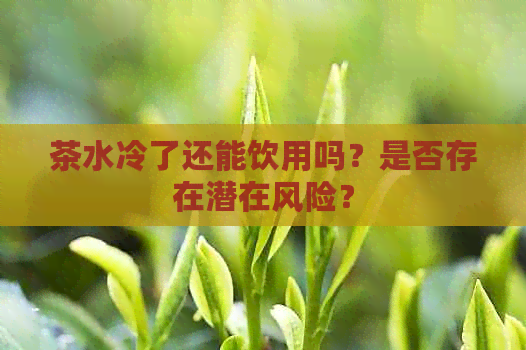 茶水冷了还能饮用吗？是否存在潜在风险？