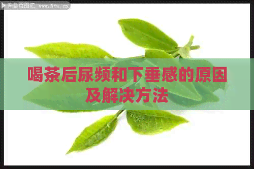 喝茶后尿频和下垂感的原因及解决方法