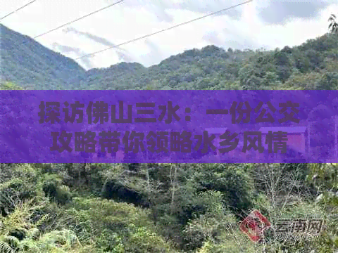 探访佛山三水：一份公交攻略带你领略水乡风情