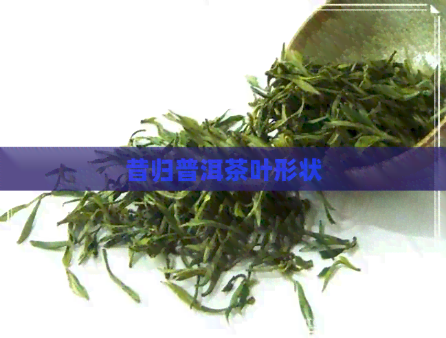 昔归普洱茶叶形状