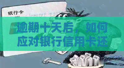 逾期十天后，如何应对银行信用卡还款要求？详细攻略来了！