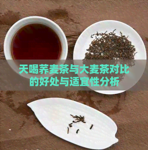 天喝荞麦茶与大麦茶对比的好处与适宜性分析