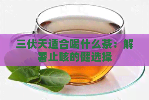 三伏天适合喝什么茶：解暑止咳的健选择