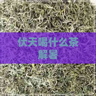 伏天喝什么茶解暑