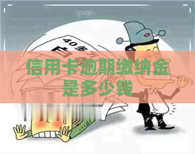 信用卡逾期缴纳金是多少钱