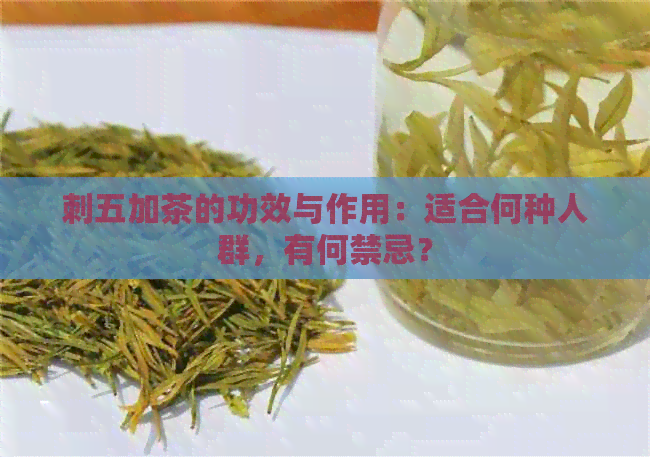 刺五加茶的功效与作用：适合何种人群，有何禁忌？