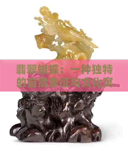 翡翠蝴蝶：一种独特的自然象征与文化寓意