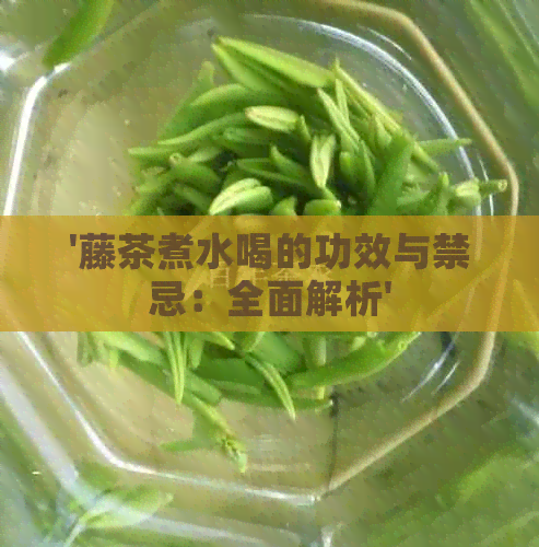 '藤茶煮水喝的功效与禁忌：全面解析'