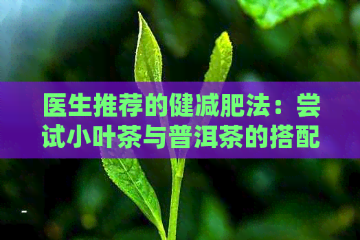 医生推荐的健减肥法：尝试小叶茶与普洱茶的搭配效果