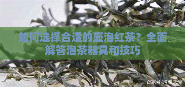 如何选择合适的壶泡红茶？全面解答泡茶器具和技巧