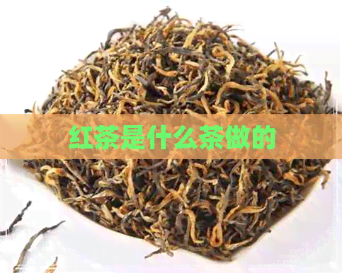 红茶是什么茶做的