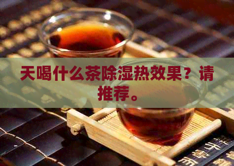 天喝什么茶除湿热效果？请推荐。