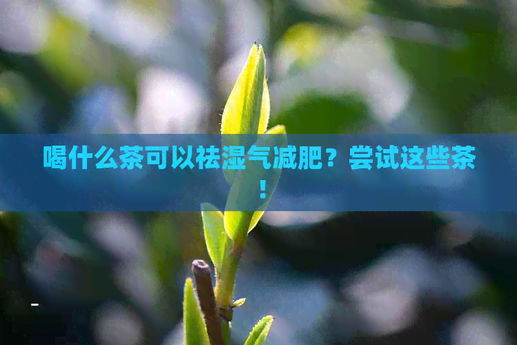 喝什么茶可以祛湿气减肥？尝试这些茶！