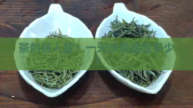 茶的摄入量：一天饮茶量是多少？