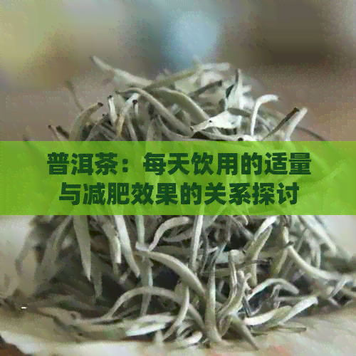 普洱茶：每天饮用的适量与减肥效果的关系探讨