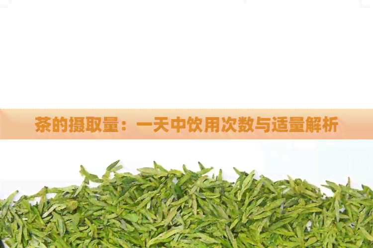 茶的摄取量：一天中饮用次数与适量解析