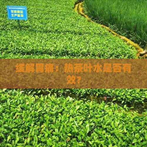 缓解胃痛：热茶叶水是否有效？