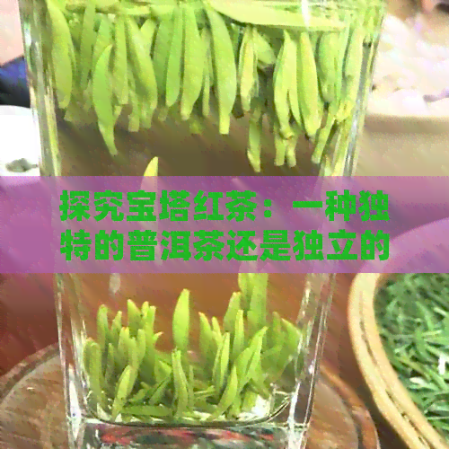 探究宝塔红茶：一种独特的普洱茶还是独立的红茶品种？